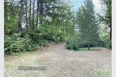McKenzie River Dr #1800, Blue River, OR 97413 - Photo 5