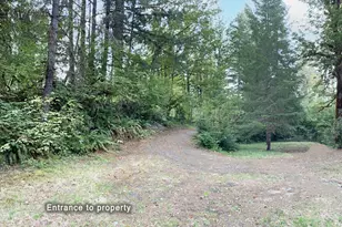 McKenzie River Dr, Blue River, OR 97413 - Photo 5