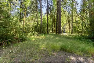 McKenzie River Dr, Blue River, OR 97413 - Photo 15