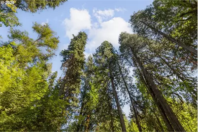 McKenzie River Dr #1800, Blue River, OR 97413 - Photo 17