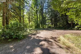 McKenzie River Dr, Blue River, OR 97413 - Photo 19