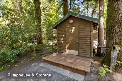 McKenzie River Dr #1800, Blue River, OR 97413 - Photo 11