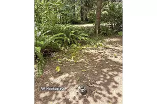 McKenzie River Dr, Blue River, OR 97413 - Photo 13