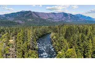 McKenzie River Dr, Blue River, OR 97413 - Photo 21