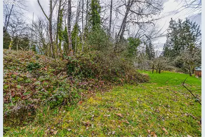 0 1st Street, Rainier, OR 97048 - Photo 1