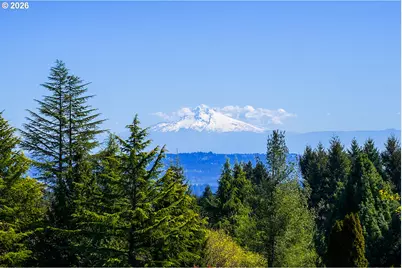 Ne Mountain Home Rd, Sherwood, OR 97140 - Photo 9