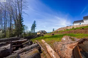 NE Mountain Home Rd, Sherwood, OR 97140 - Photo 15