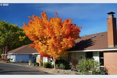 5375 SW Barclay Ct, Beaverton, OR 97005 - Photo 37