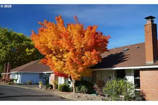 5375 SW Barclay Ct, Beaverton, OR 97005 - Photo 37