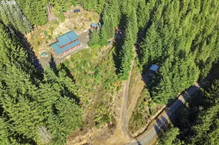 1962 Mt View Dr, Cougar, WA 98616 - Photo 25