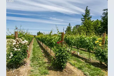 30125 NW Scotch Church Rd, Hillsboro, OR 97124 - Photo 47