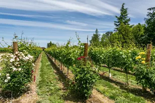 30125 NW Scotch Church Rd, Hillsboro, OR 97124 - Photo 47