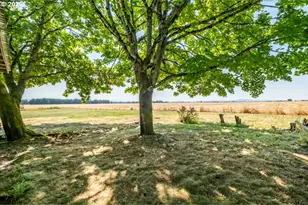 34976 Kamph Dr, Albany, OR 97322 - Photo 23