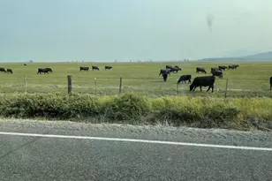 9800 Sevenmile Rd, Fort Klamath, OR 97626 - Photo 39