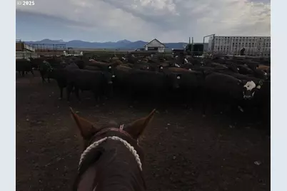 9800 Seven Mile Rd, Fort Klamath, OR 97626 - Photo 37