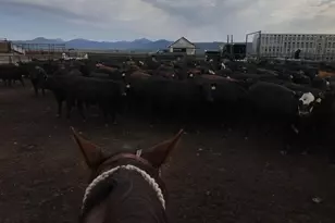 9800 Sevenmile Rd, Fort Klamath, OR 97626 - Photo 37