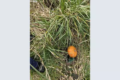 Hume Rd #302, Gold Beach, OR 97444 - Photo 21