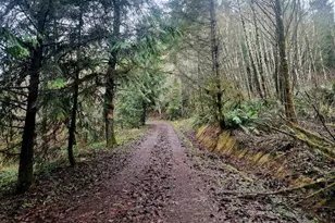 97736 N Lake Ln, Lakeside, OR 97449 - Photo 21