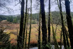 97736 N Lake Ln, Lakeside, OR 97449 - Photo 45