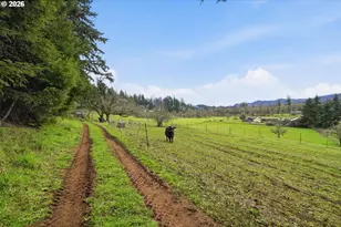 78783 Sears Rd, Cottage Grove, OR 97424 - Photo 41