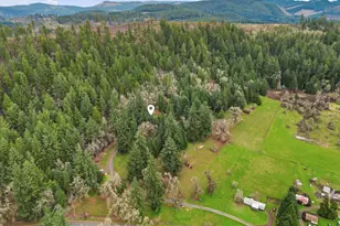 78783 Sears Rd, Cottage Grove, OR 97424 - Photo 45