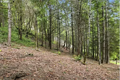78783 Sears Rd, Cottage Grove, OR 97424 - Photo 37