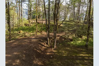 476 Country Club Rd, Hood River, OR 97031 - Photo 33