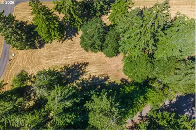 165 Saturn Ave, Woodland, WA 98674 - Photo 21