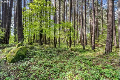 586 NW Loop Rd, White Salmon, WA 98672 - Photo 11