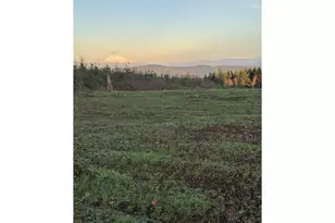 228 Suncrest Dr, Castle Rock, WA 98611 - Photo 1