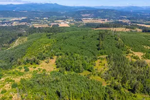29852 Ingram Rd, Lebanon, OR 97355 - Photo 9