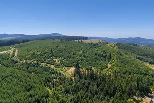 29852 Ingram Rd, Lebanon, OR 97355 - Photo 7