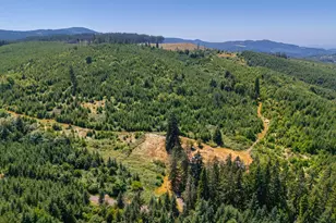 29852 Ingram Rd, Lebanon, OR 97355 - Photo 5