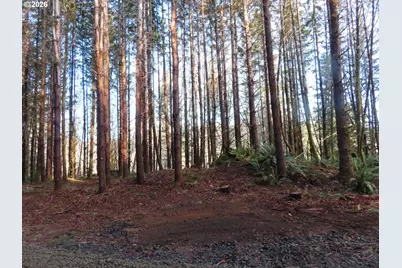 2431 N River Rd, Raymond, WA 98577 - Photo 17