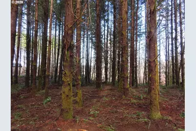 2431 N River Rd, Raymond, WA 98577 - Photo 3