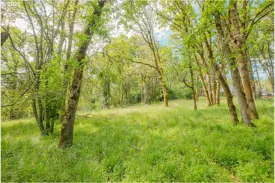 0 NW Kouns Dr, Albany, OR 97321 - Photo 17