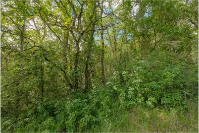 0 NW Kouns Dr, Albany, OR 97321 - Photo 13