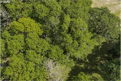 0 NW Kouns Dr, Albany, OR 97321 - Photo 25