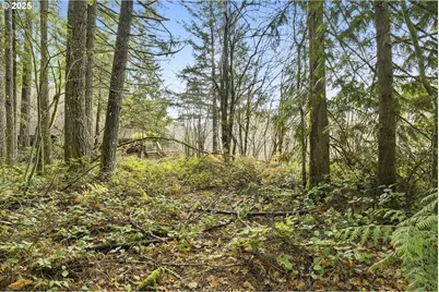 65344 E Sandy River Ln, Mount Hood Village, OR 97049 - Photo 3