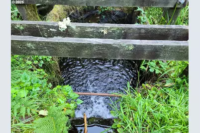 0 Ruth Road #700, North Bend, OR 97459 - Photo 3