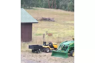 80181 Lost Creek Rd, Dexter, OR 97431 - Photo 27