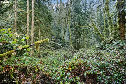 80181 Lost Creek Rd, Dexter, OR 97431 - Photo 25