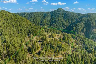80181 Lost Creek Rd, Dexter, OR 97431 - Photo 23