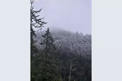 80181 Lost Creek Rd, Dexter, OR 97431 - Photo 31