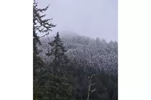 80181 Lost Creek Rd, Dexter, OR 97431 - Photo 31