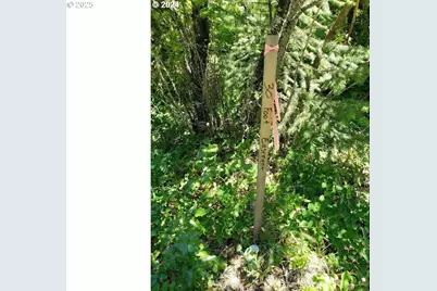 492 Sleepy Hollow Rd, Appleton, WA 98602 - Photo 13