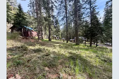 Forest Dell Ave, Wallowa Lake, OR 97846 - Photo 5