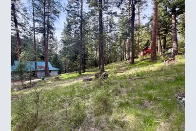 Forest Dell Ave, Wallowa Lake, OR 97846 - Photo 7