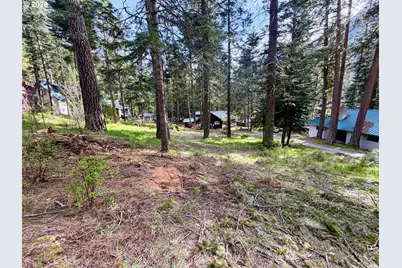 Forest Dell Ave, Wallowa Lake, OR 97846 - Photo 11