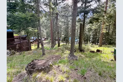 Forest Dell Ave, Wallowa Lake, OR 97846 - Photo 9